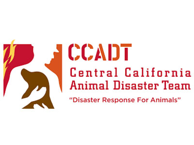 ccadt-logo ccadt-logo